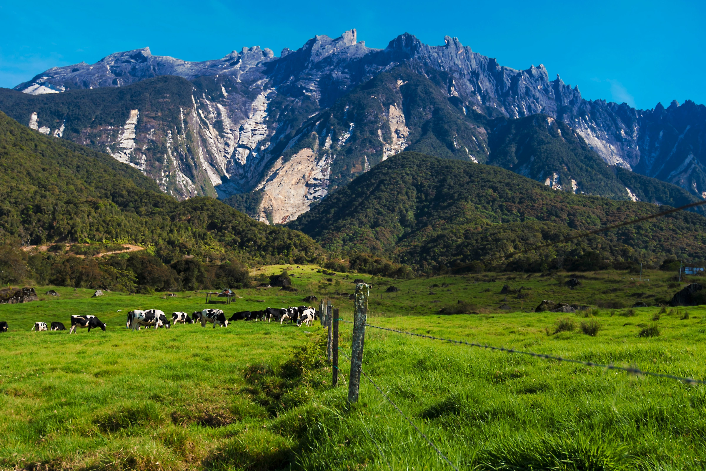 Kinabalu_National_Park[1].webp
